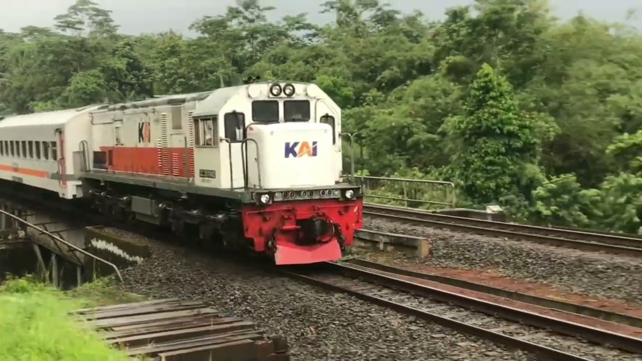 KERETA API PANJANG ‼️ MENEMUKAN 20 KERETA API NGEBUT DI TIKUNGAN