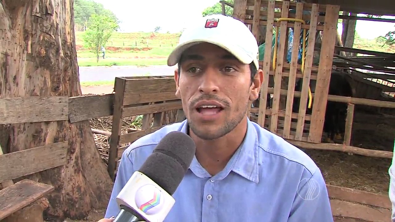 BALANÇO GERAL -  Zoofilia: homem é preso por maus tratos
