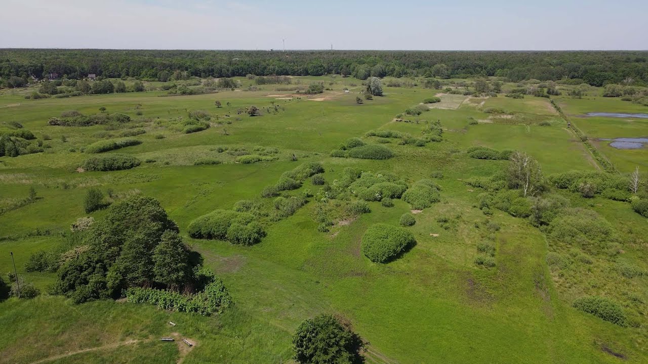 Landschaftspfleger*in (m/w/d) für Naturschutzgebiet Lange Damm Wiesen  gesucht!