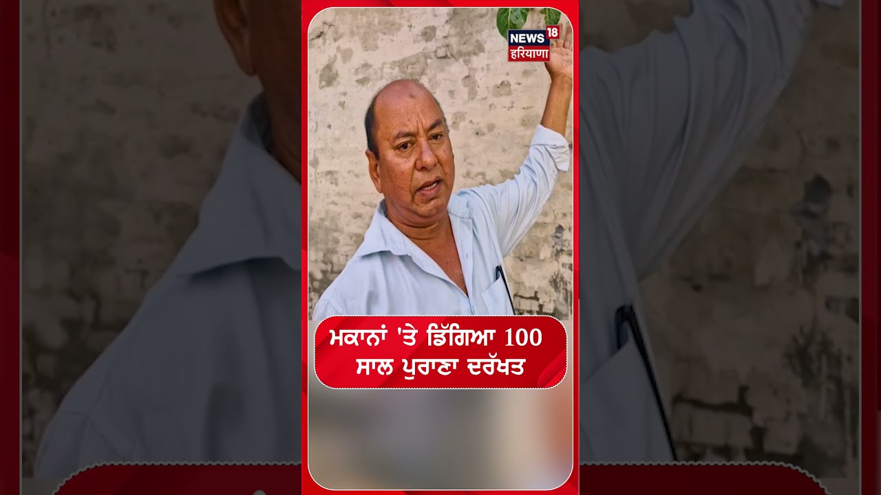 Khanna News | ਮਕਾਨਾਂ 'ਤੇ ਡਿੱਗਿਆ 100 ਸਾਲ ਪੁਰਾਣਾ ਦਰੱਖਤ #Shorts | N18S