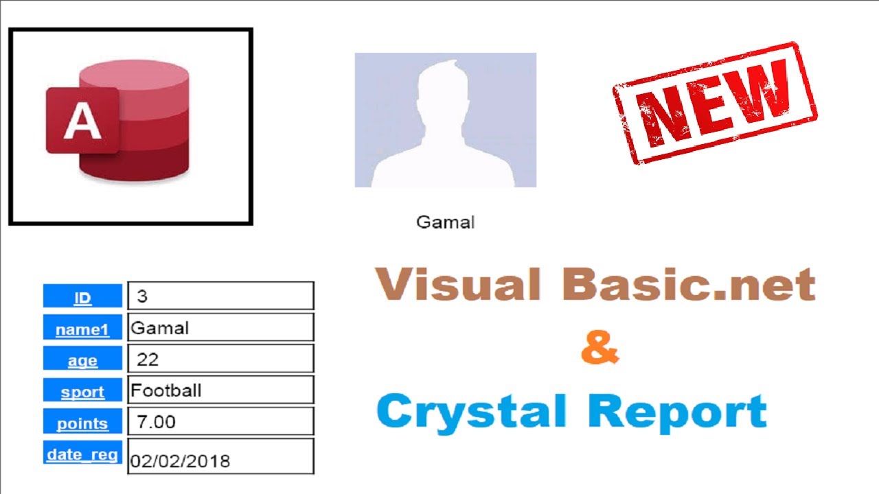 Master VB.NET: Build Crystal Report Profiles with MS Access Database