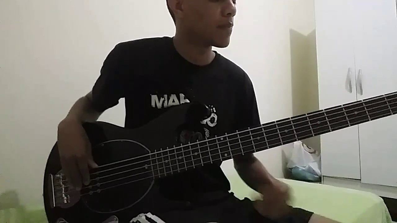 Xote da alegria - Falamansa | bassCover