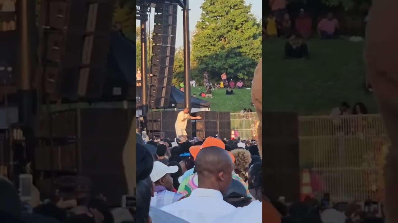 Ali kıba at afro fest Toronto 2024
