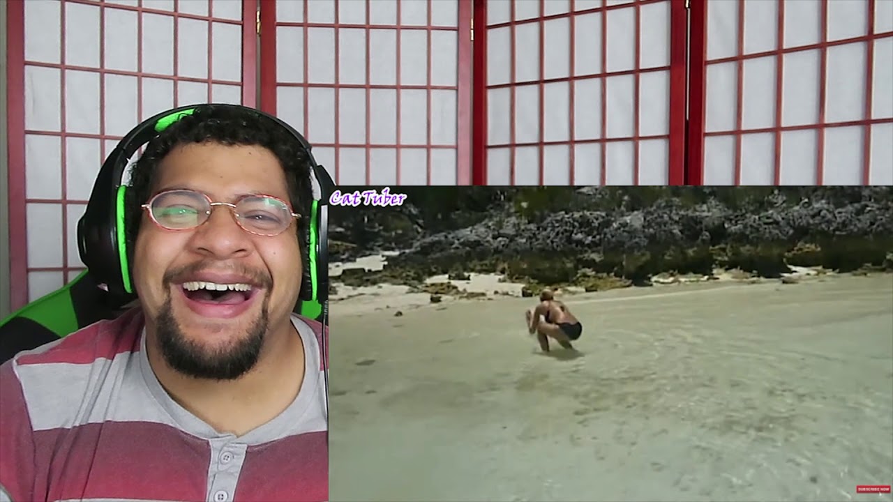 Just Wait For It! Funny Compilation!