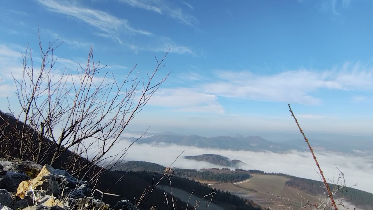 Live Nature - View from the top of 