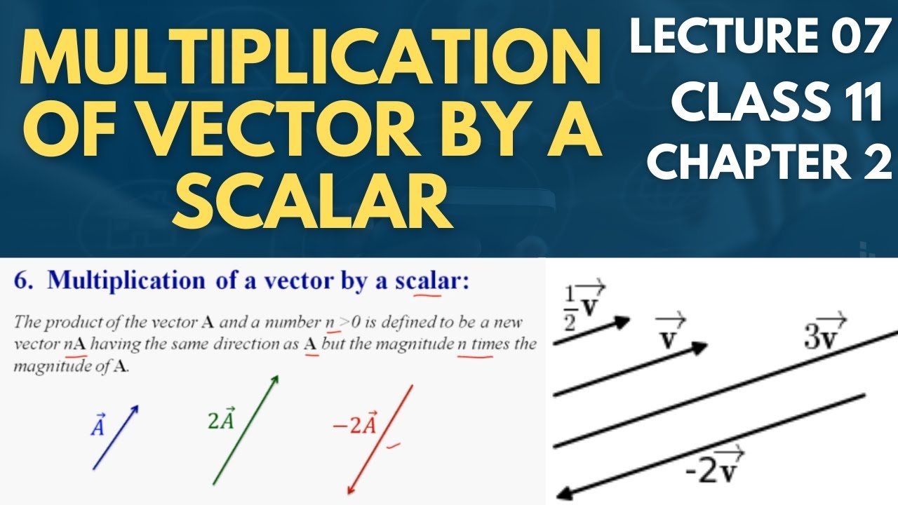 Multiplication of vector by a scalar class 11 physics | Lecture 07