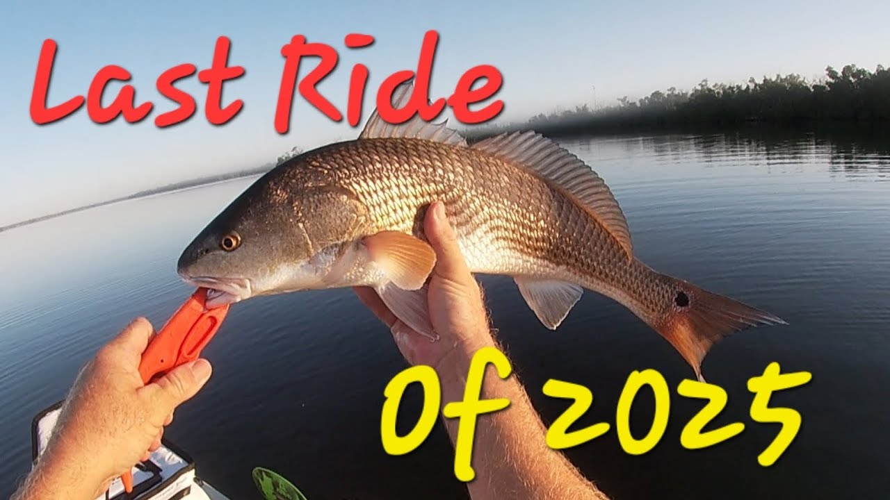 [Slam] Последняя поездка 2025 года: рыбалка на байдарке Hobie в соленой воде, остров Пайн-Айленд,...