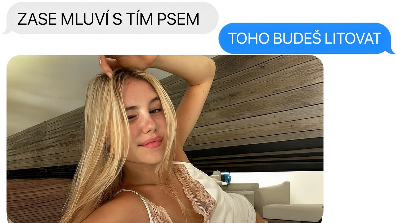 &Scaron;ikanovali Jsme Kluka, Protože Měl R&aacute;d Smile Doga