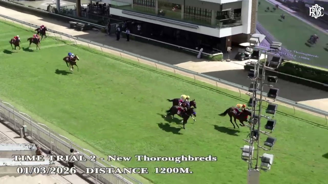 TIME TRIAL 2 - 01/03/2026 - New Thoroughbreds