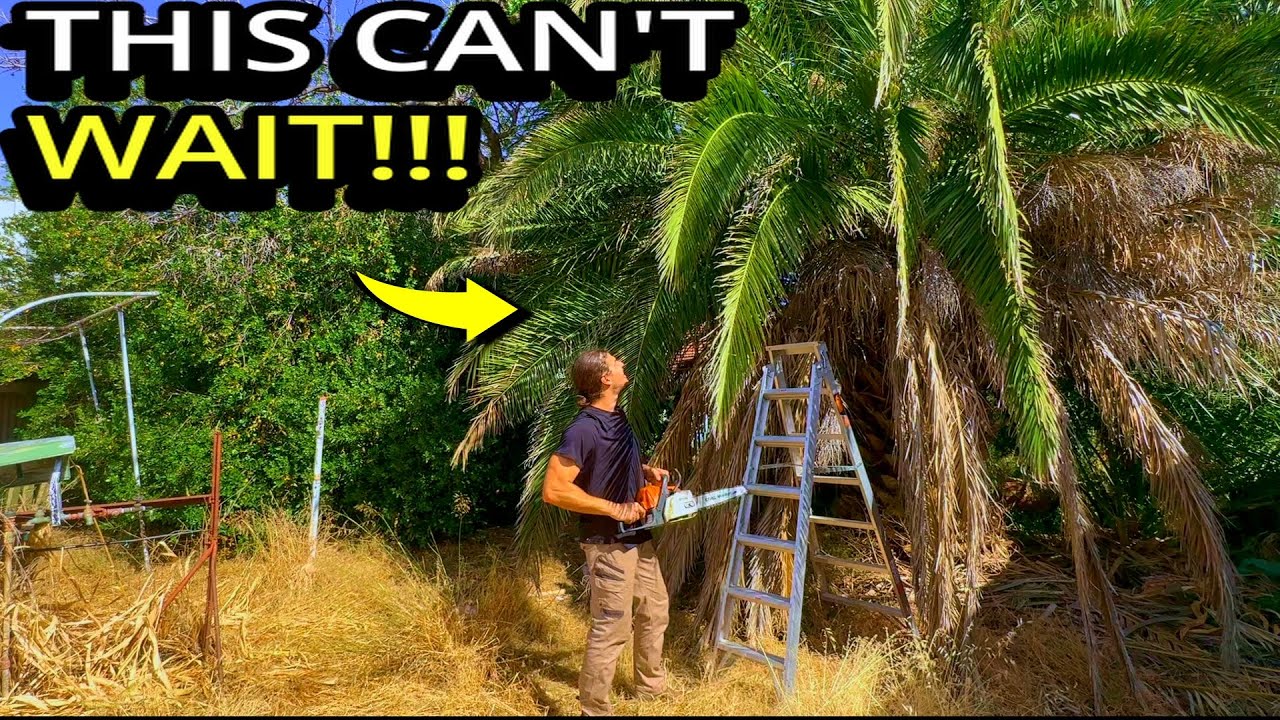 THIS IS HER WORST NIGHTMARE!