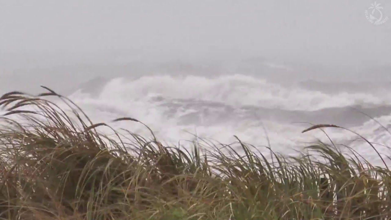 🌀 Hurricane, Storm Ambience on the Beach with Heavy Rough Ocean Waves Crashing on the Coast