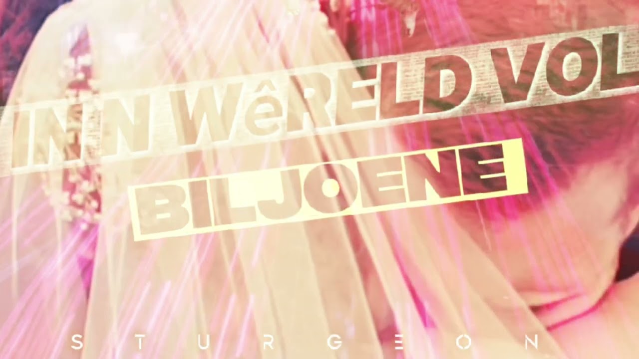 In n Wereld vol biljoene