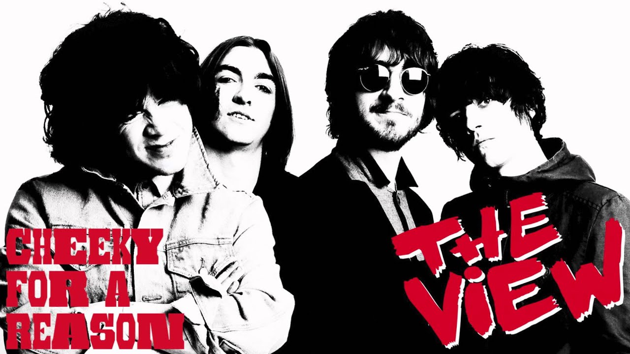 The View - Hole In The Bed