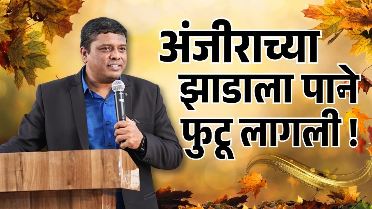 अंजिराच्या झाडाला पाने फुटू लागली !