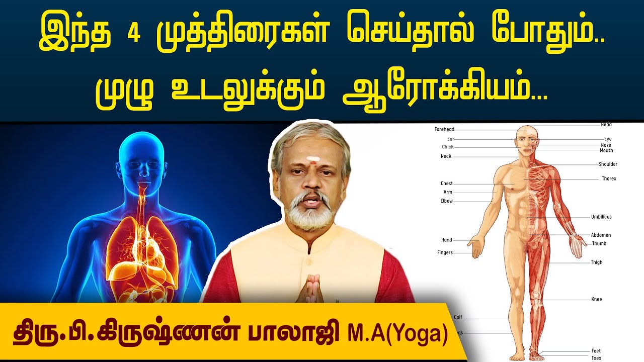 இந்த 4 முத்திரைகள் செய்தால் போதும்.. முழு உடலுக்கும் ஆரோக்கியம்... | Krishnan Balaji | @megatvindia