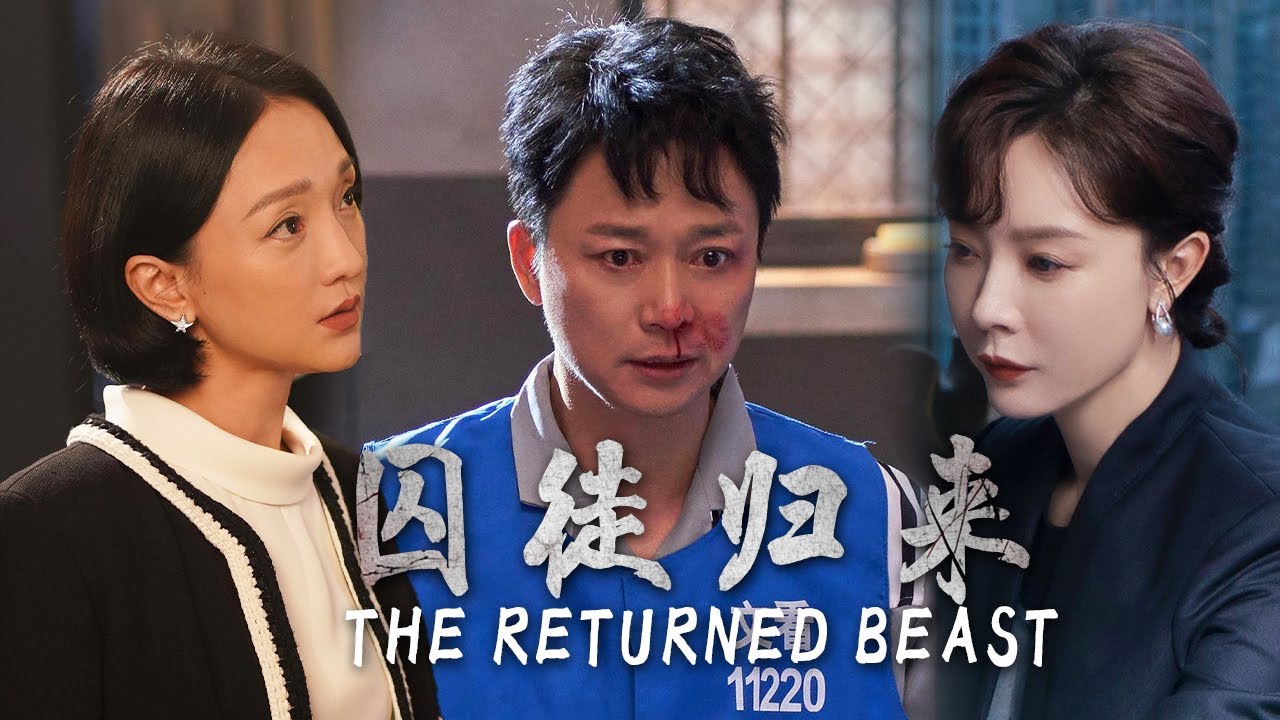 【Full Movie】出狱的刘奕君笑里藏刀，他要签封口协议更要复位⚔️背后布局复仇棋局，周迅能扛得住这一波吗🐺？ |不完美受害人| 欢迎订阅▶#夜幕谜案