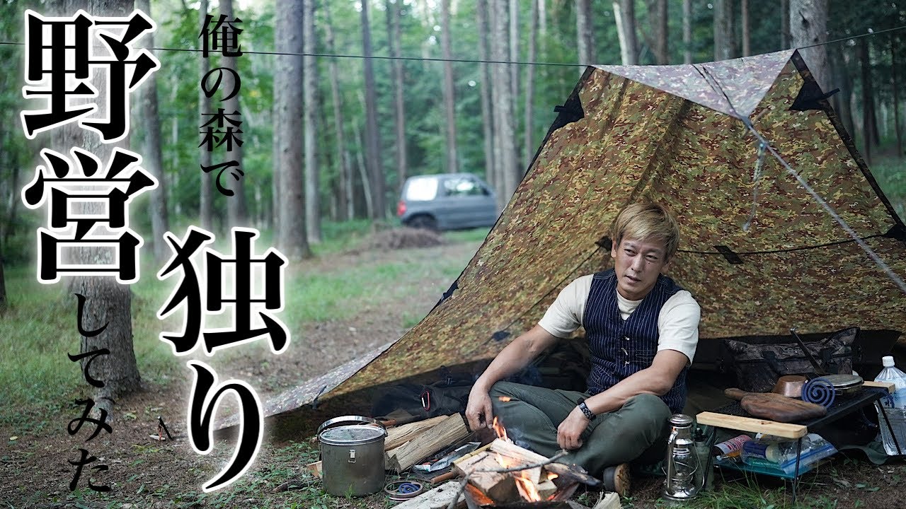 【野営】俺の森でソロキャンプ：タープ泊で自然を感じ焚き火でステーキを焼く　                      Overnight solo camp in a beautiful forest