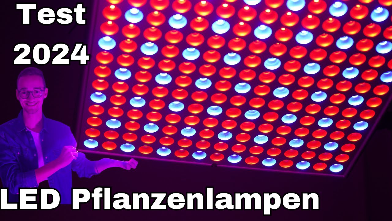 LED Pflanzenlampen Test 2024 - braucht man das für die Anzucht?