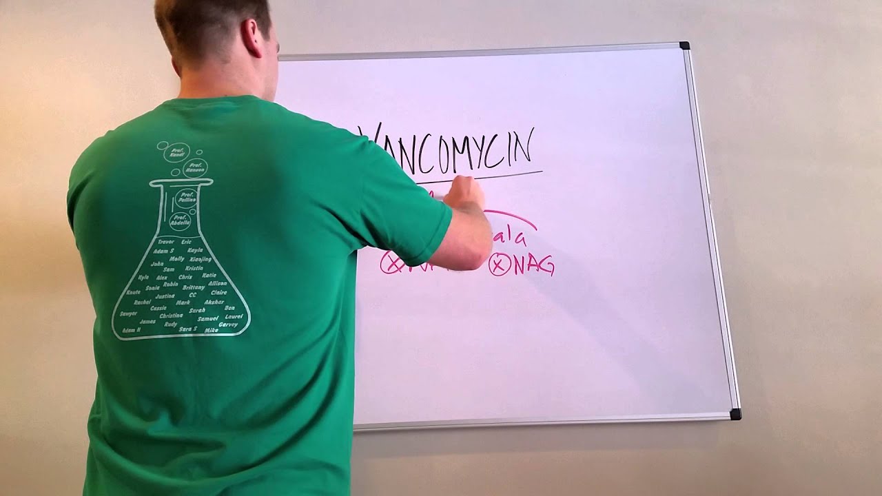 Vancomycin: What You Need to Know