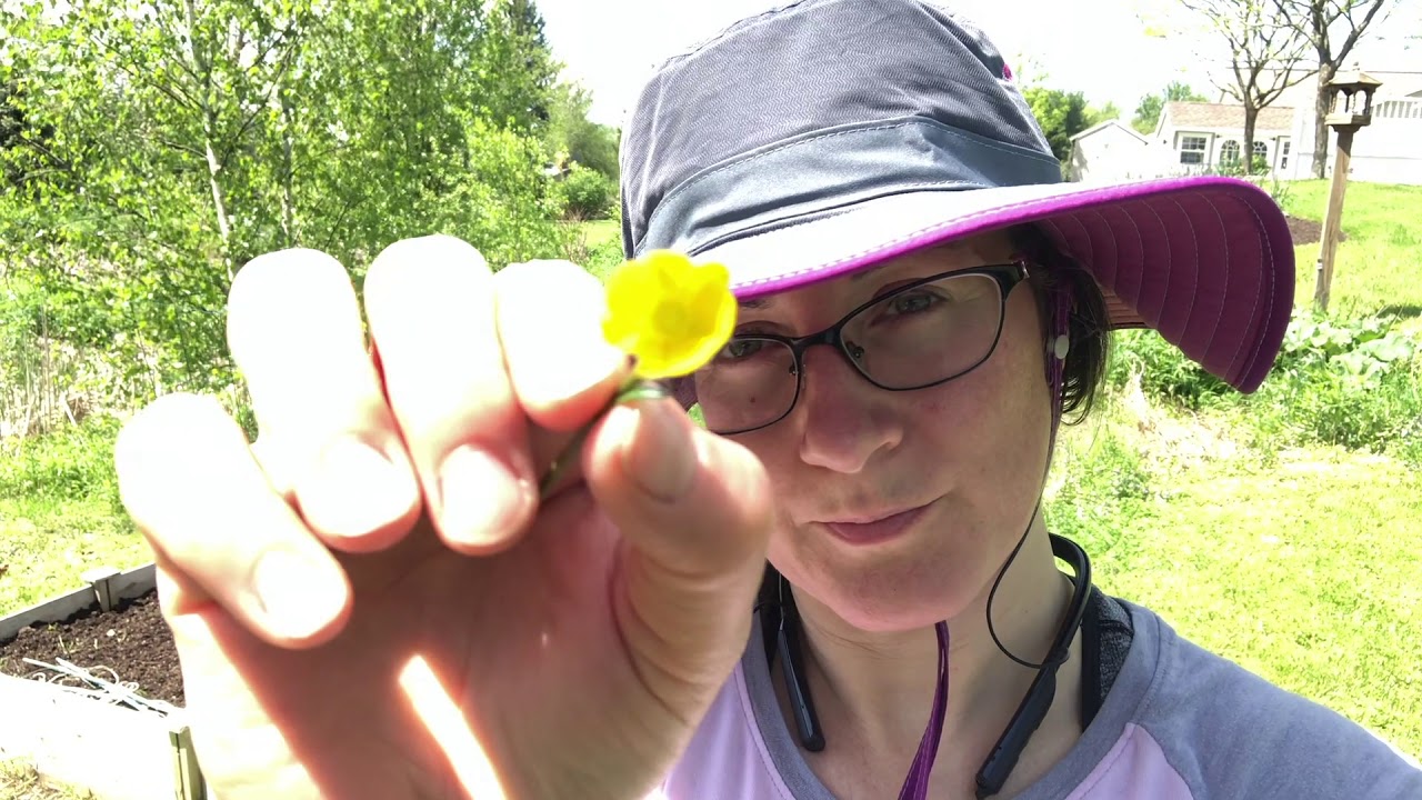 Spring into Summer Vlog | Healthy Vegan Summer Rolls with Peanut Sauce