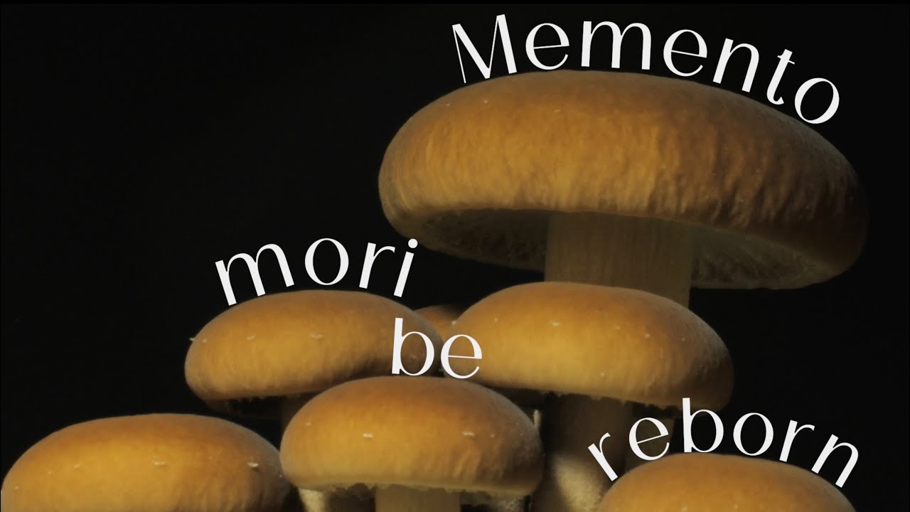 Granfalloon - Why Bury Me in the Graveyard? (music video)