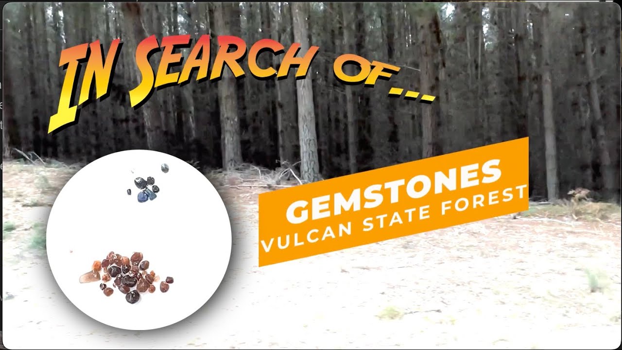 Fossicking for Sapphires in the Vulcan State Forest, NSW