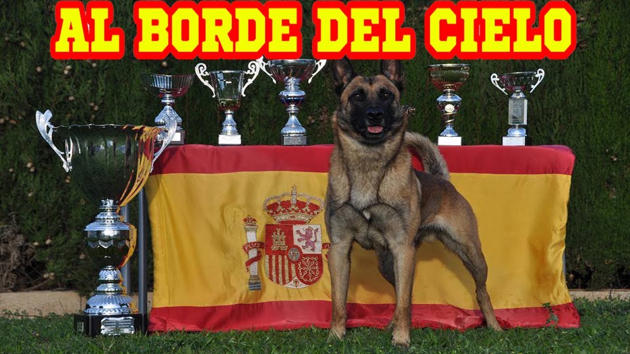 Un adiestrador español con su perro, al borde del cielo