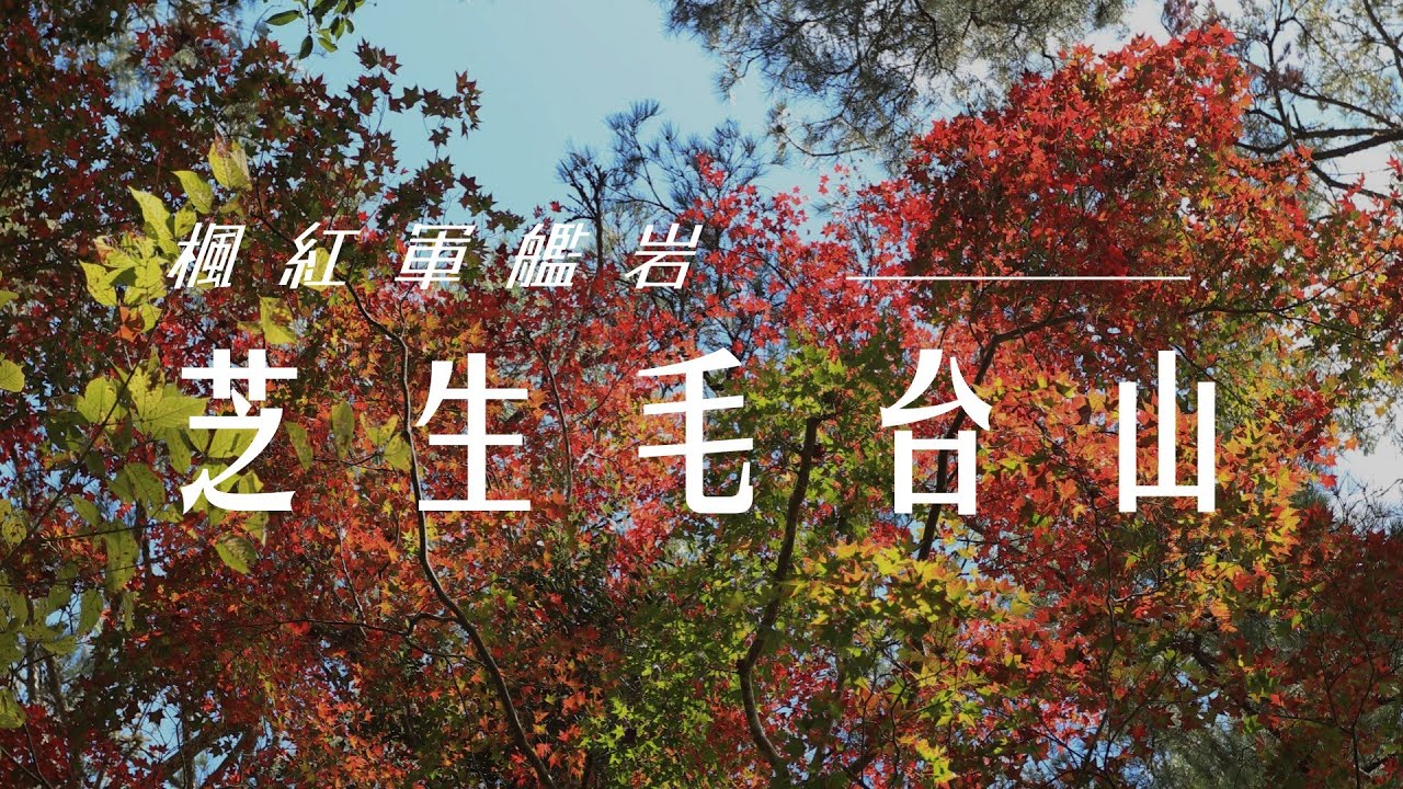 楓紅軍艦岩 新竹尖石秀巒部落 芝生毛台山 登山 Taiwan hiking trip , Red maple leaves in Hsinchu