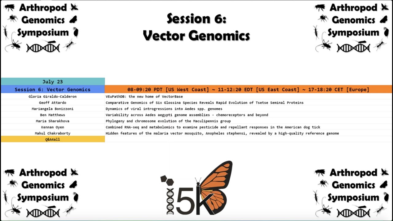 AGS 2020 Session 6