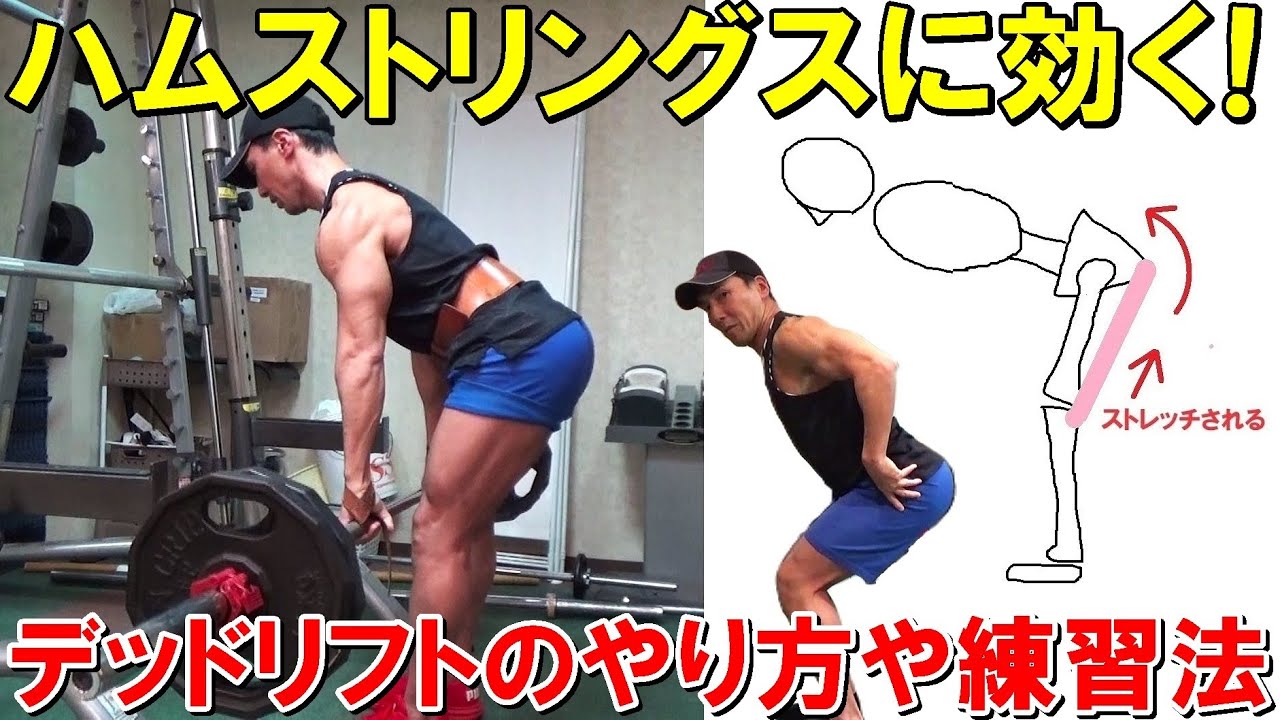 デッドリフトで腰が疲れずにハムストリングスに効くやり方や練習法！スティッフレッグドデッドリフトの解説＆実演