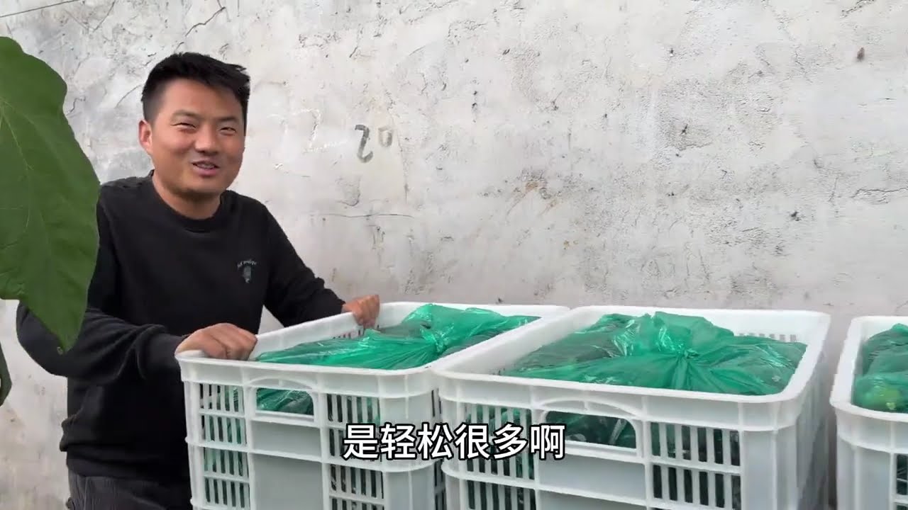 90后夫妻返乡创业，今年挣的第一笔大钱，看看究竟有多少？#新农人计划2026 #抖音新农人 #这也能开播 #直播里的她