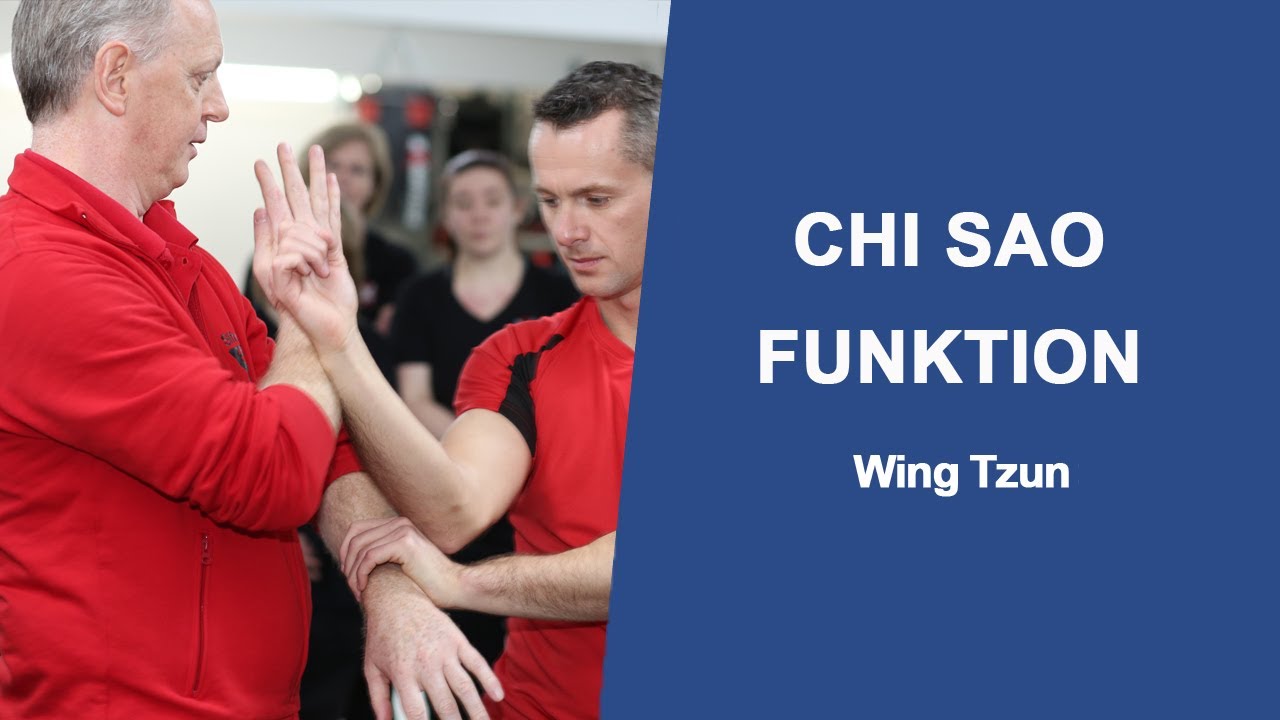 Wing Tzun Chi Sao Funktion