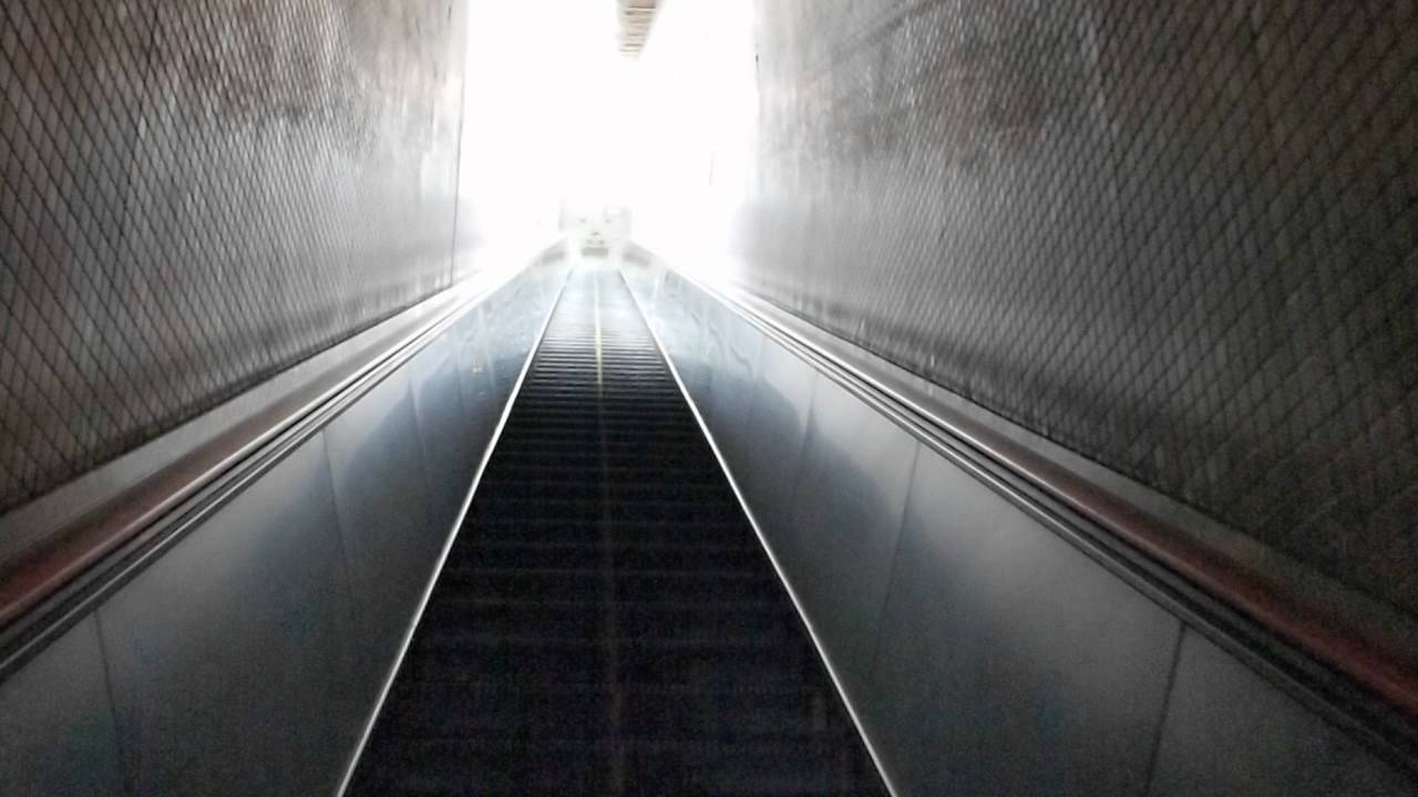 昼の　東山動植物園　エスカレーター　 escalator  Higasiyama zoo and B gardens park（nagoya）