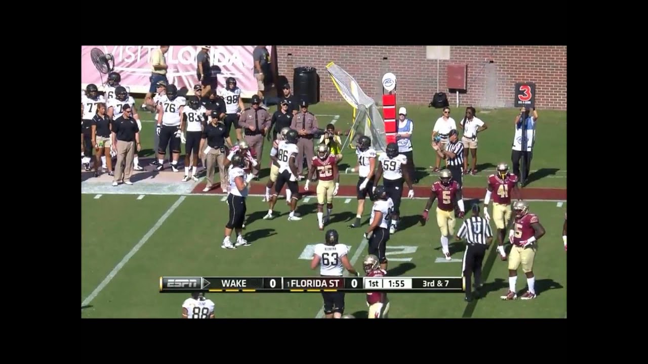 FSU CB PJ Williams Junior Season Highlights