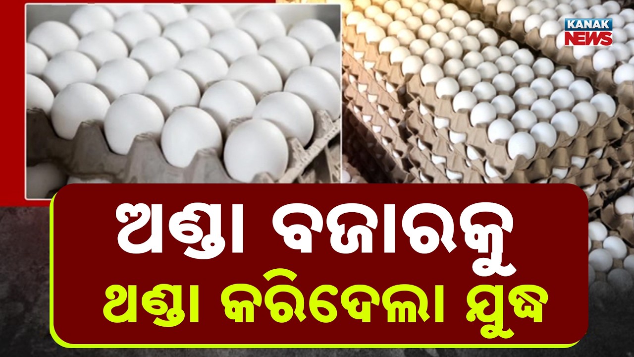Egg Prices Crash in Odisha Amid Global Tensions | Why Is the Egg Market Falling?