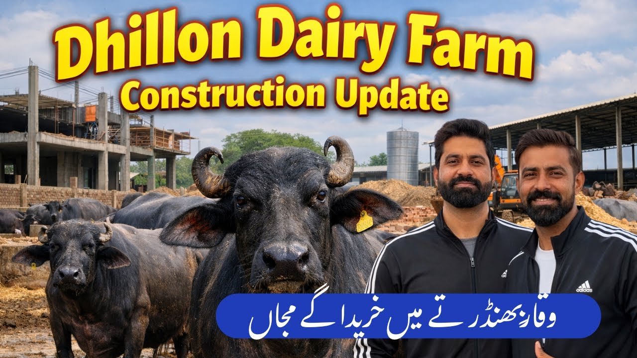 Waqar Bhinder Nal Banya Plan | How To Buy  | Dairy Farm Di Construction | Nasir Dhillon 