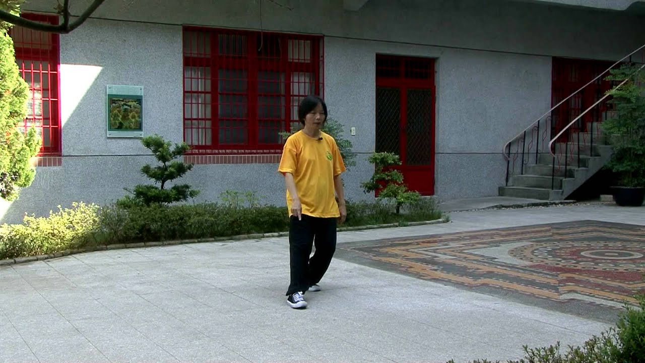 貓步教學影片