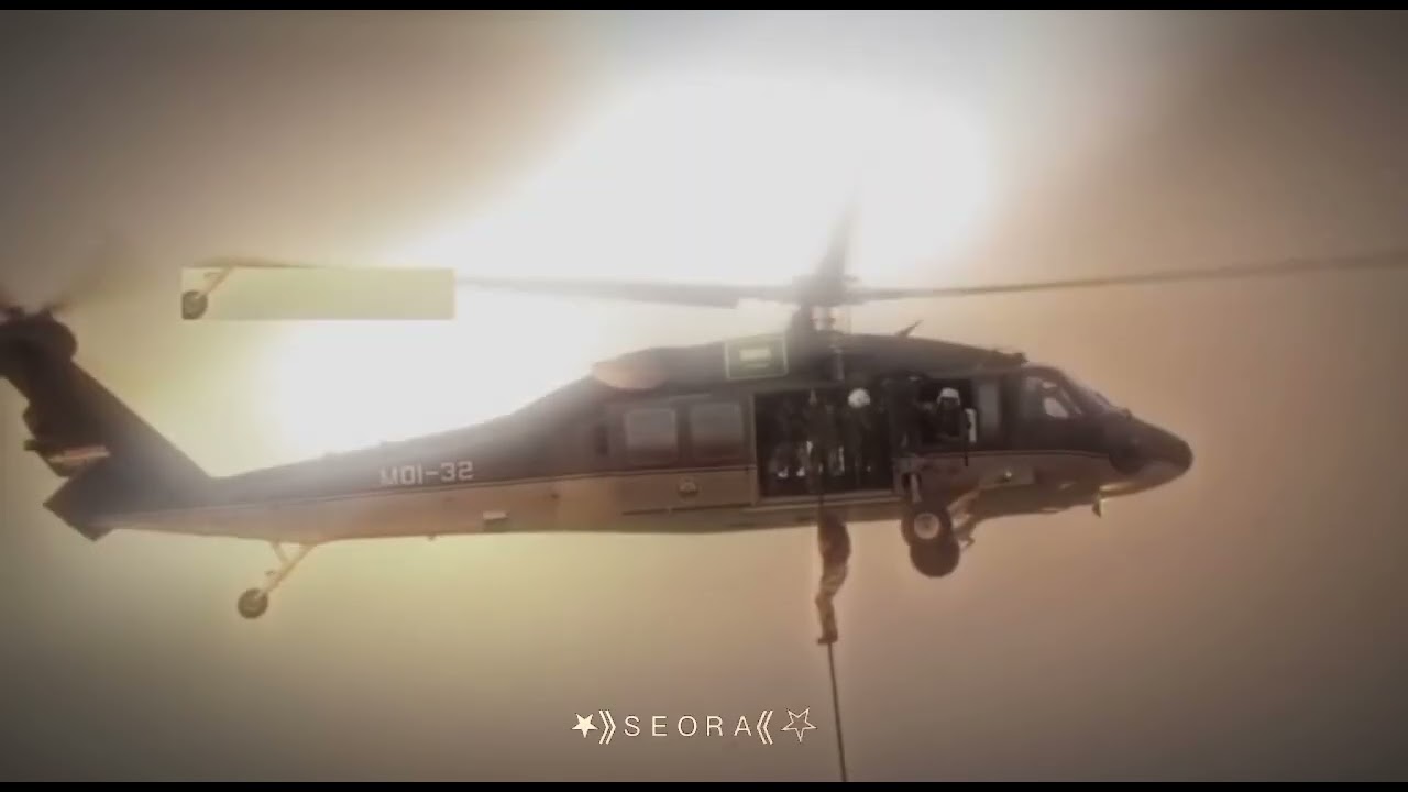 ٢ فبراير ٢٠٢٦