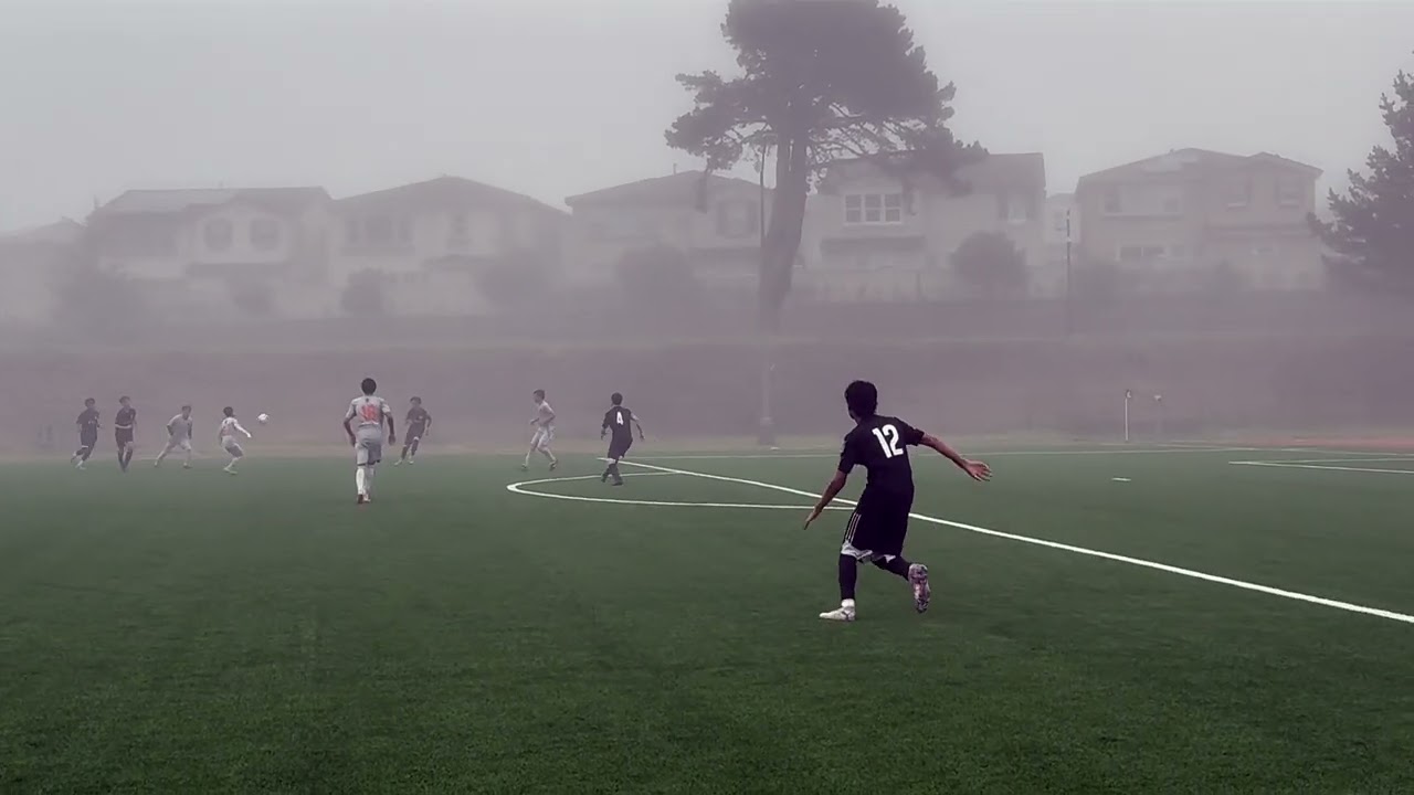 ZevAsh Highlights 2026