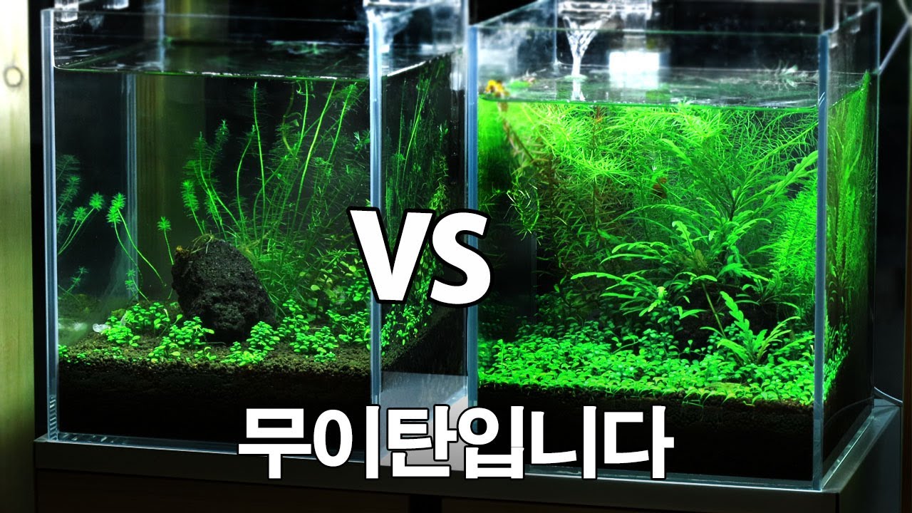수초, 이탄 없이 키우기 - 무이탄 수초어항 꾸미기