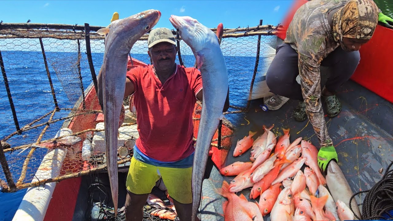 Deepwater fishing catching one of the strangest fish I ever seen catch and cook