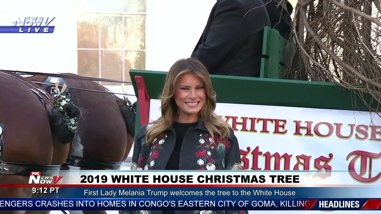 CHRISTMAS TREE 2019: Melania Trump Welcomes The White House Tree