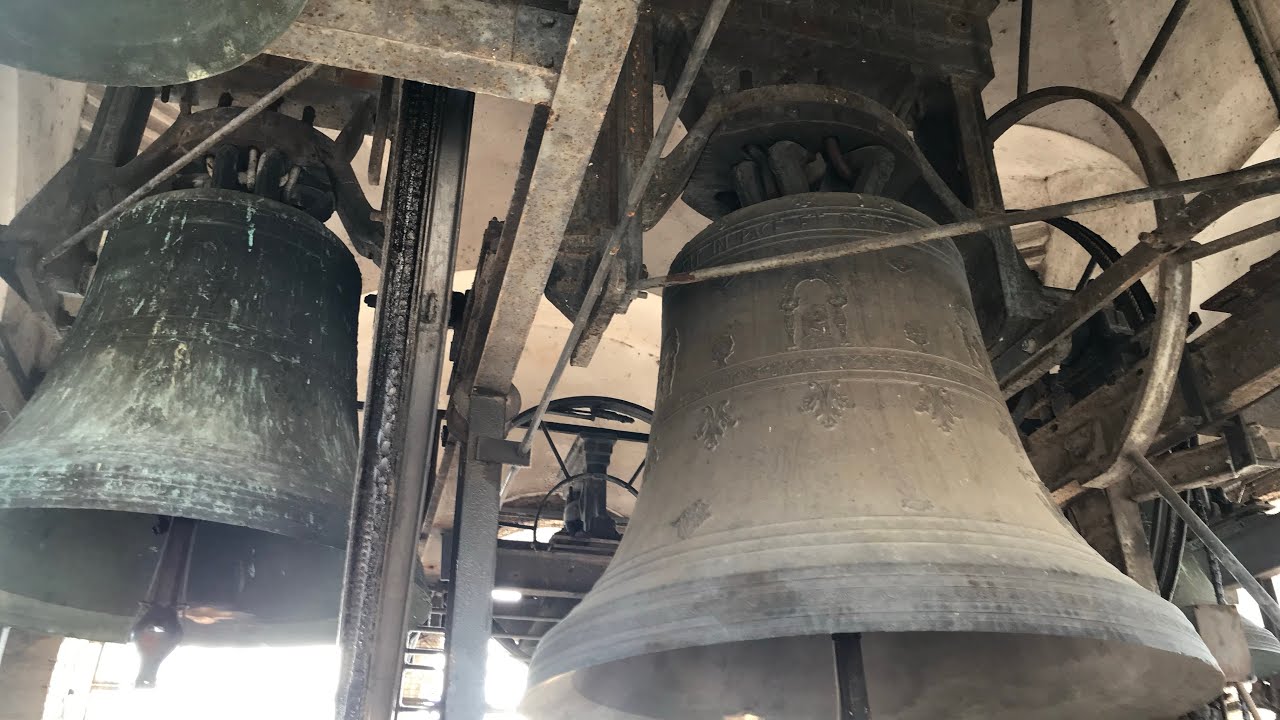 Crema (CR) Suonate in cattedrale per la festa patronale 2023 (Parte 2)