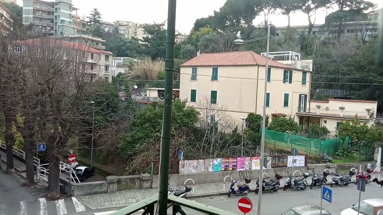 Gabbiano Vagabondo 