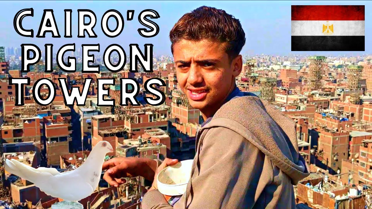 UNSEEN Egypt | The PIGEON TOWERS of GARBAGE CITY, Cairo