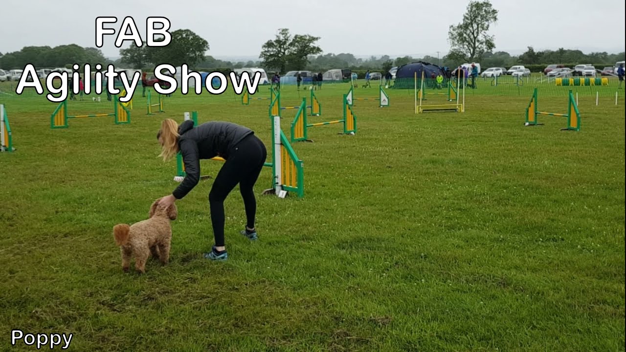 FAB Agility Show - June 2021