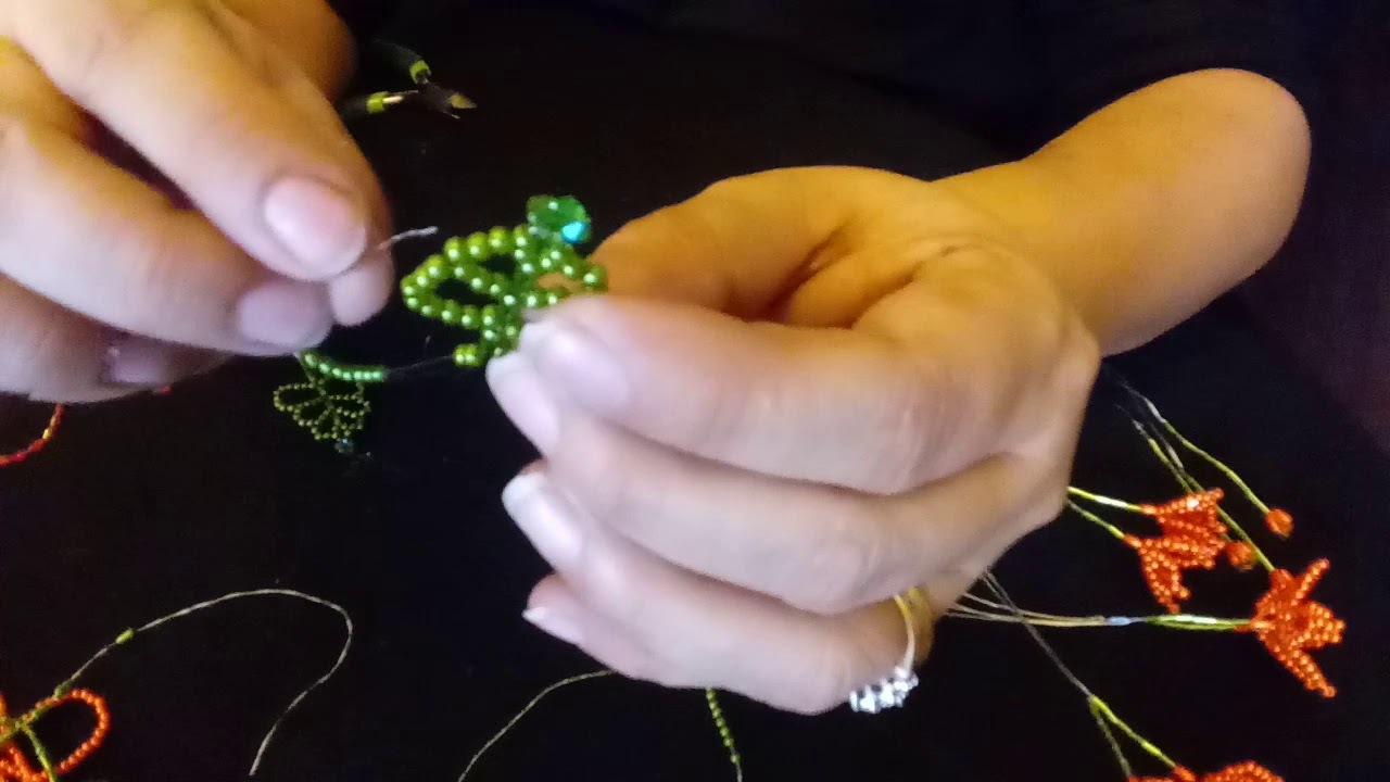 Video #2 flor Izora -hojas verde y capullitos