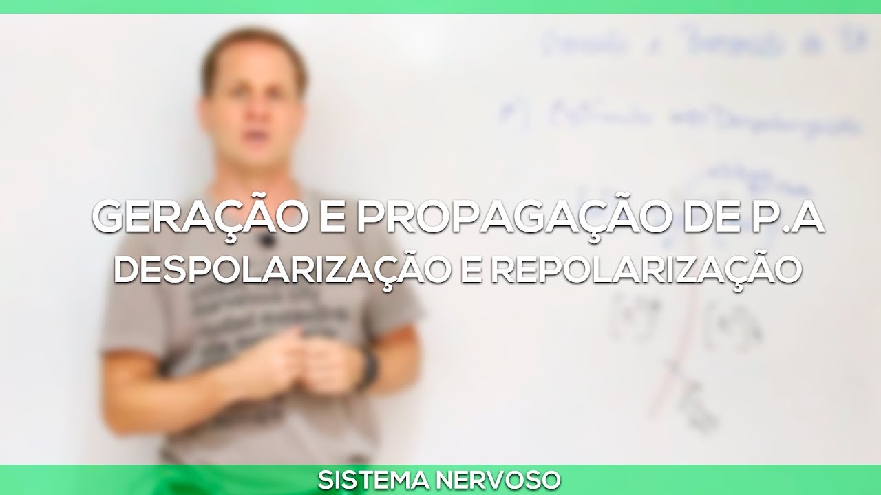 Despolarização e Repolarização