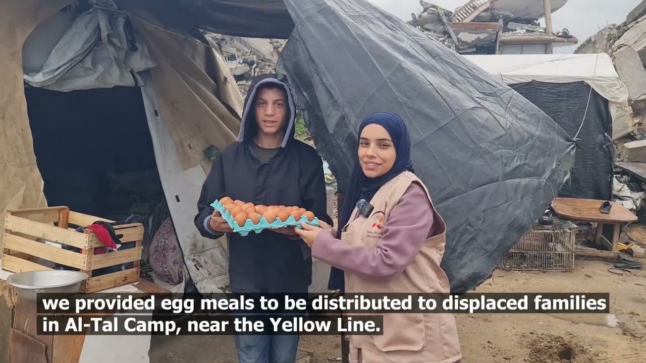 For the first time in Gaza, we were able to distribute egg meals to a displaced persons camp.