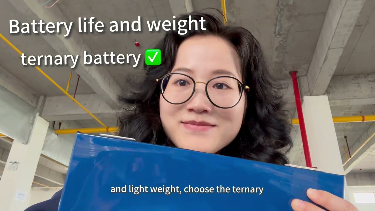     LFP vs NMC Batteries: Which One Should You REALLY Choose in 2026?